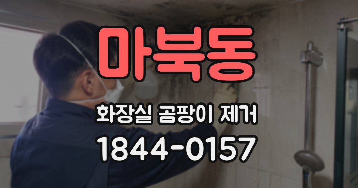 마북동 화장실 곰팡이 제거