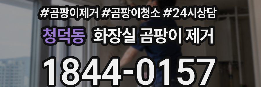 청덕동 화장실 곰팡이 제거