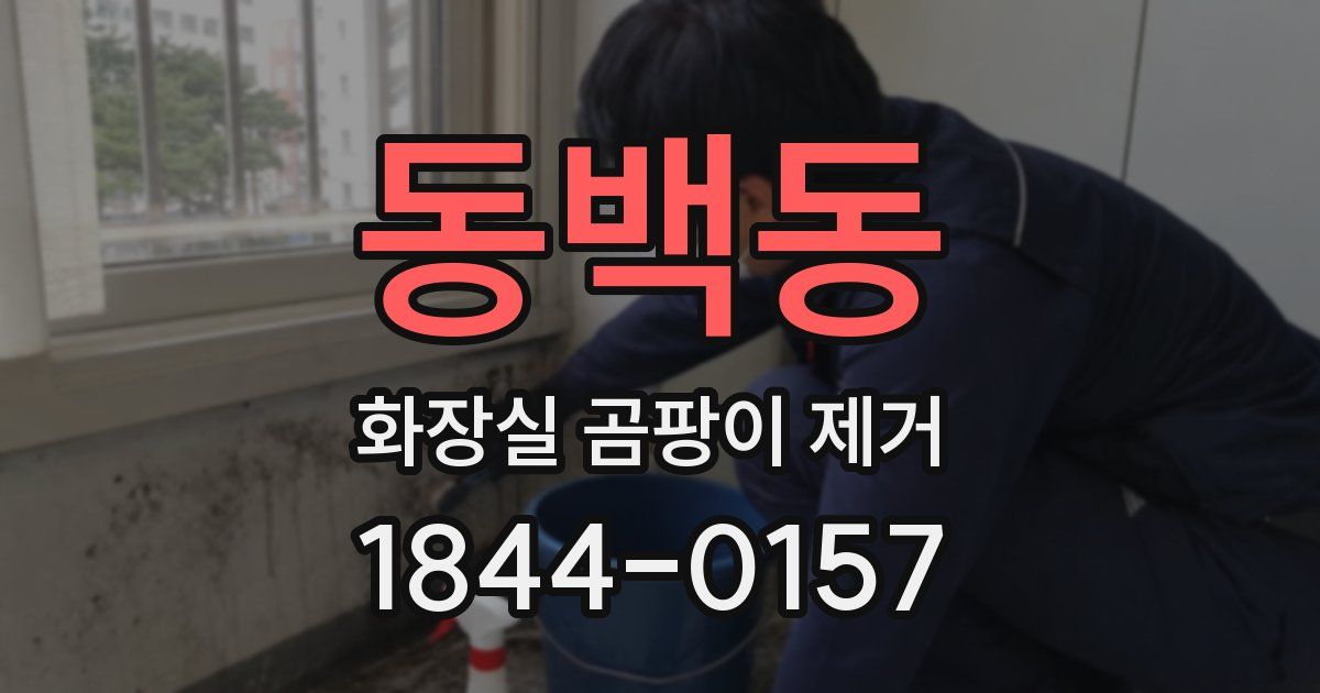 동백동 화장실 곰팡이 제거
