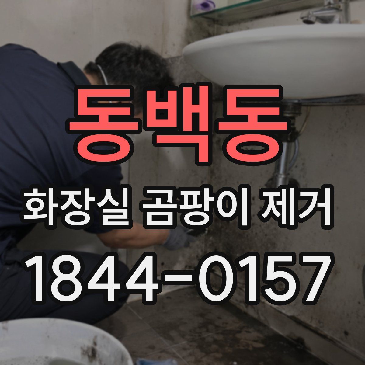 동백동 화장실 곰팡이 제거