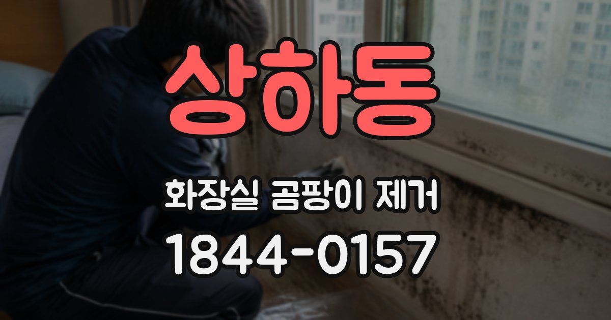 상하동 화장실 곰팡이 제거