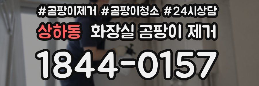 상하동 화장실 곰팡이 제거