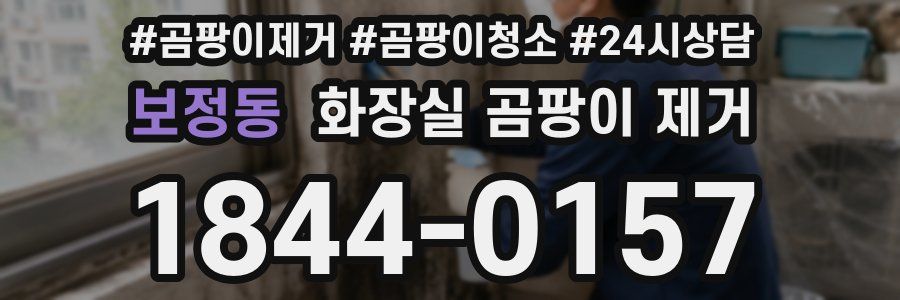 보정동 화장실 곰팡이 제거