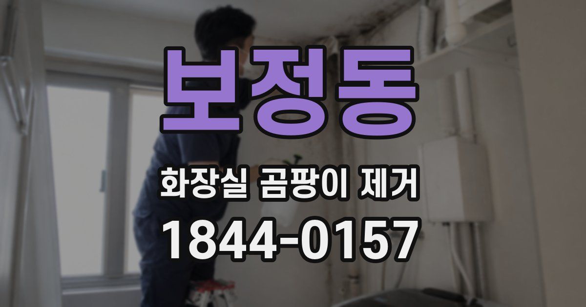 보정동 화장실 곰팡이 제거