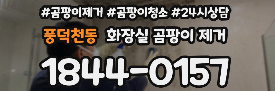 풍덕천동 화장실 곰팡이 제거