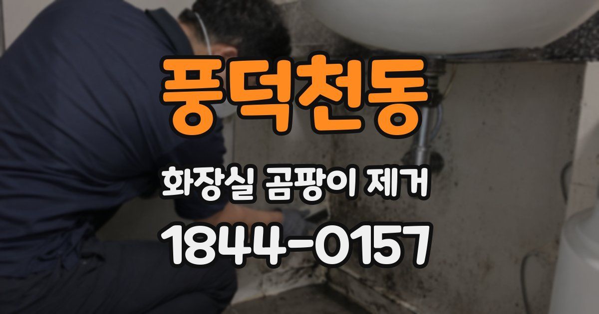 풍덕천동 화장실 곰팡이 제거