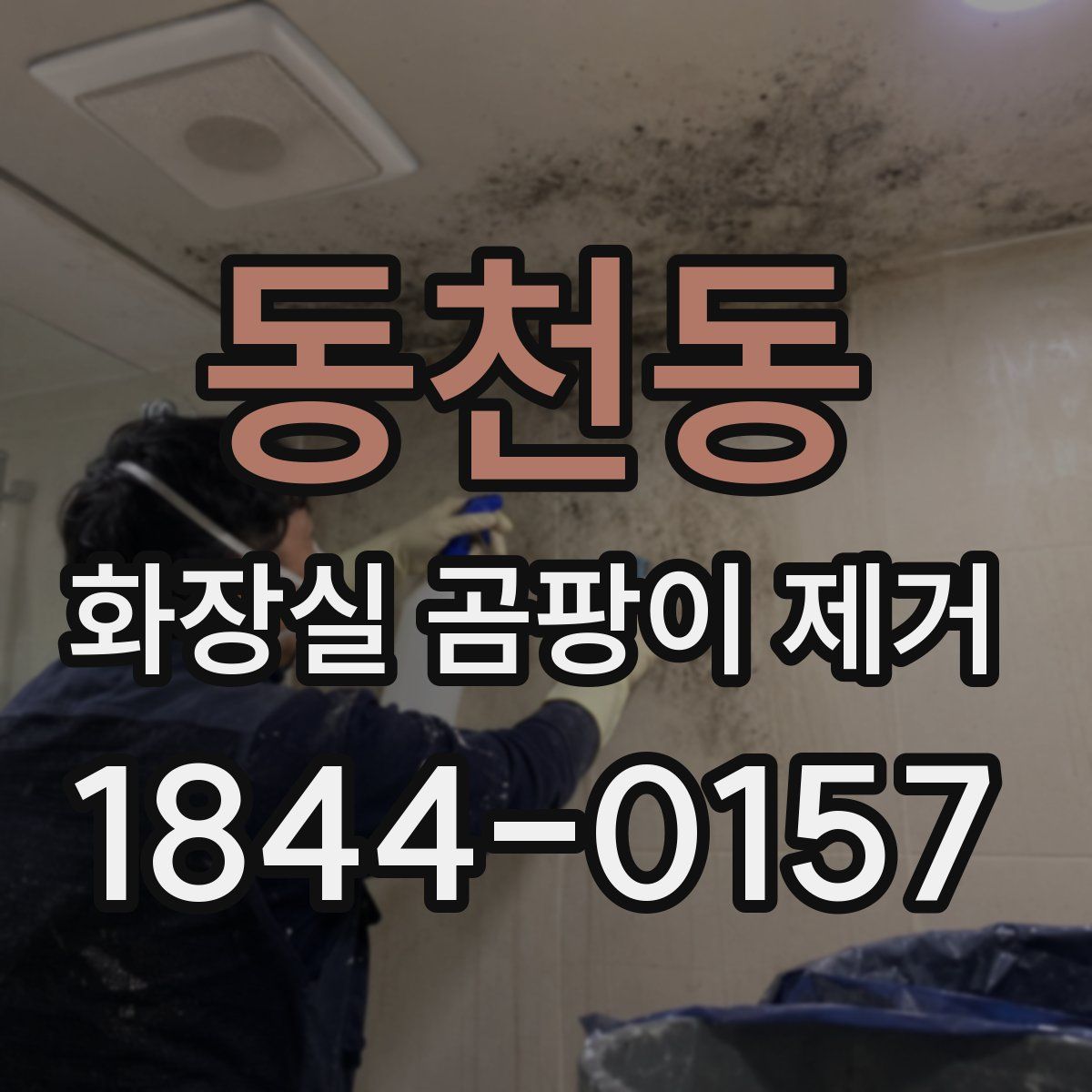동천동 화장실 곰팡이 제거