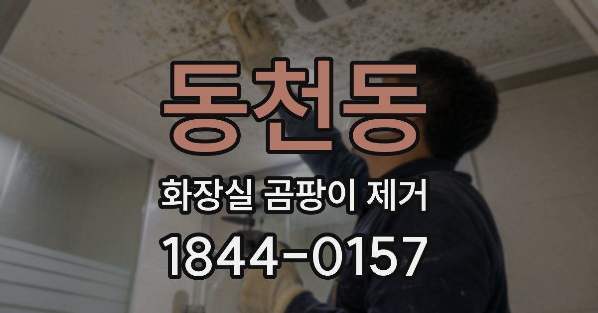 동천동 화장실 곰팡이 제거