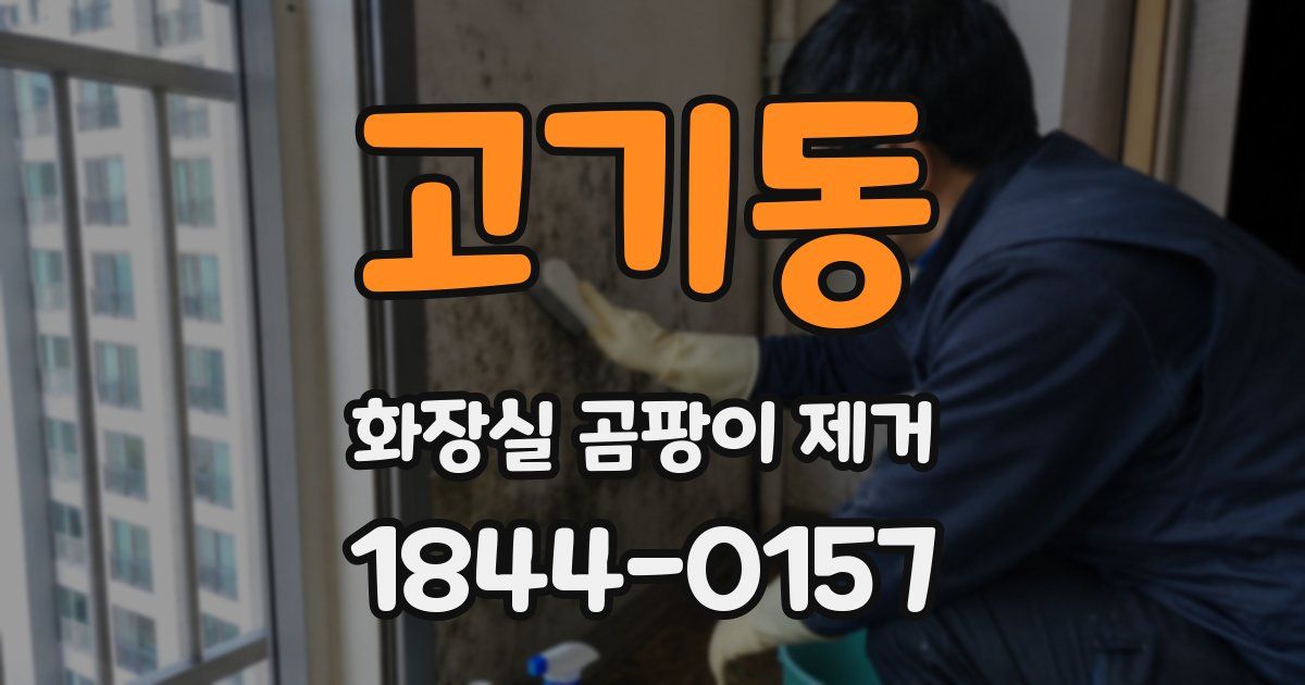고기동 화장실 곰팡이 제거