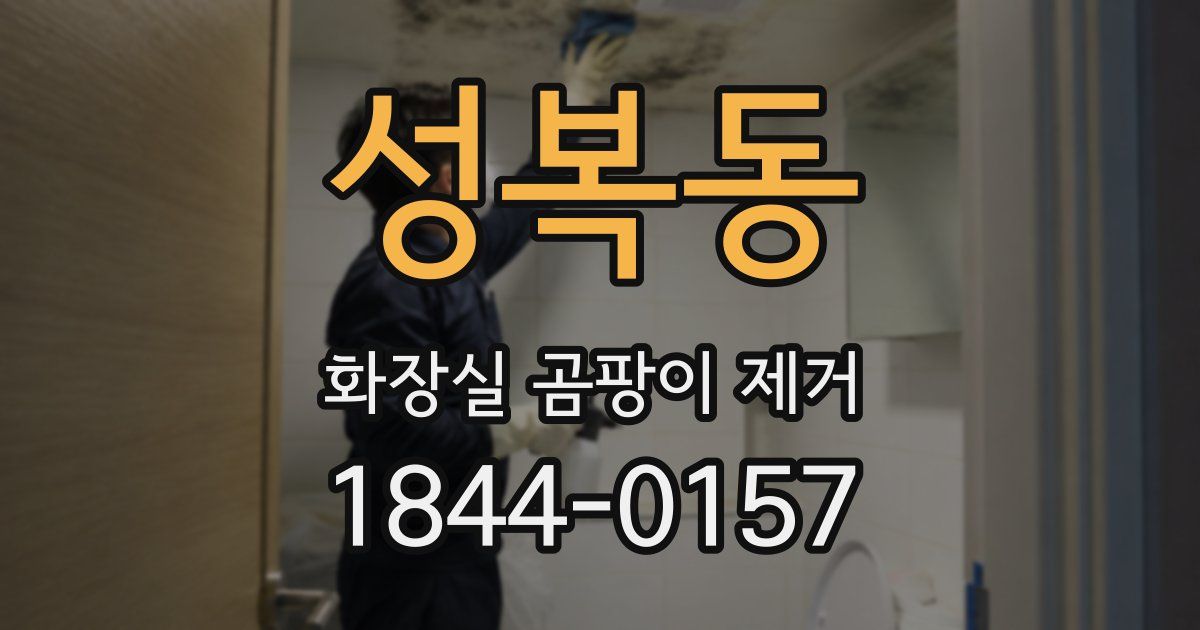 성복동 화장실 곰팡이 제거