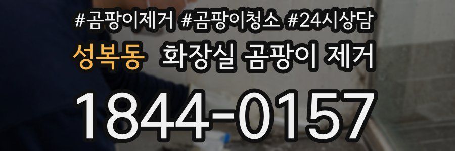 성복동 화장실 곰팡이 제거