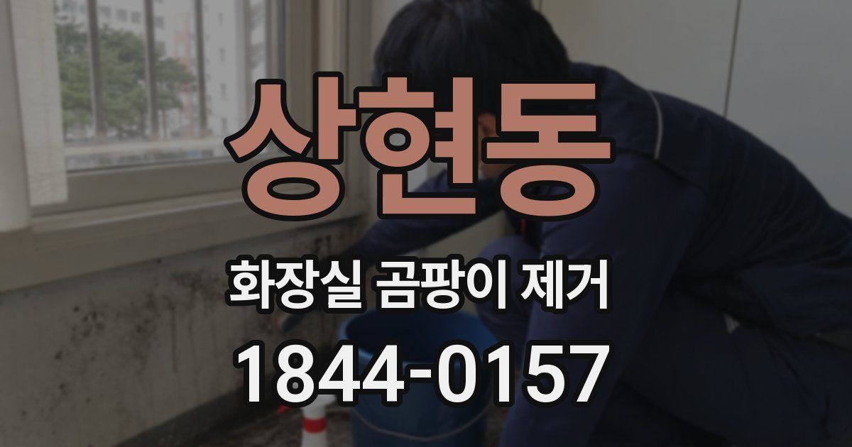 상현동 화장실 곰팡이 제거