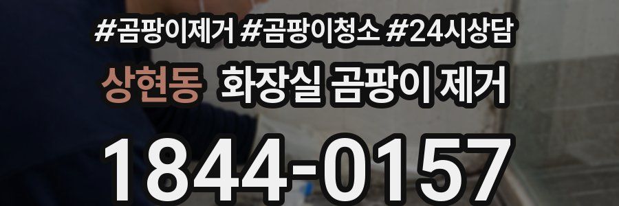 상현동 화장실 곰팡이 제거