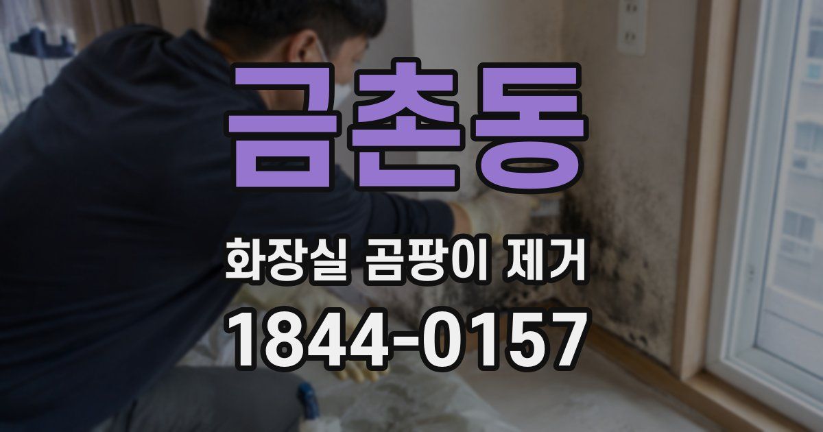 금촌동 화장실 곰팡이 제거