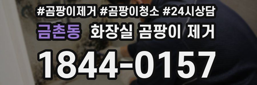 금촌동 화장실 곰팡이 제거