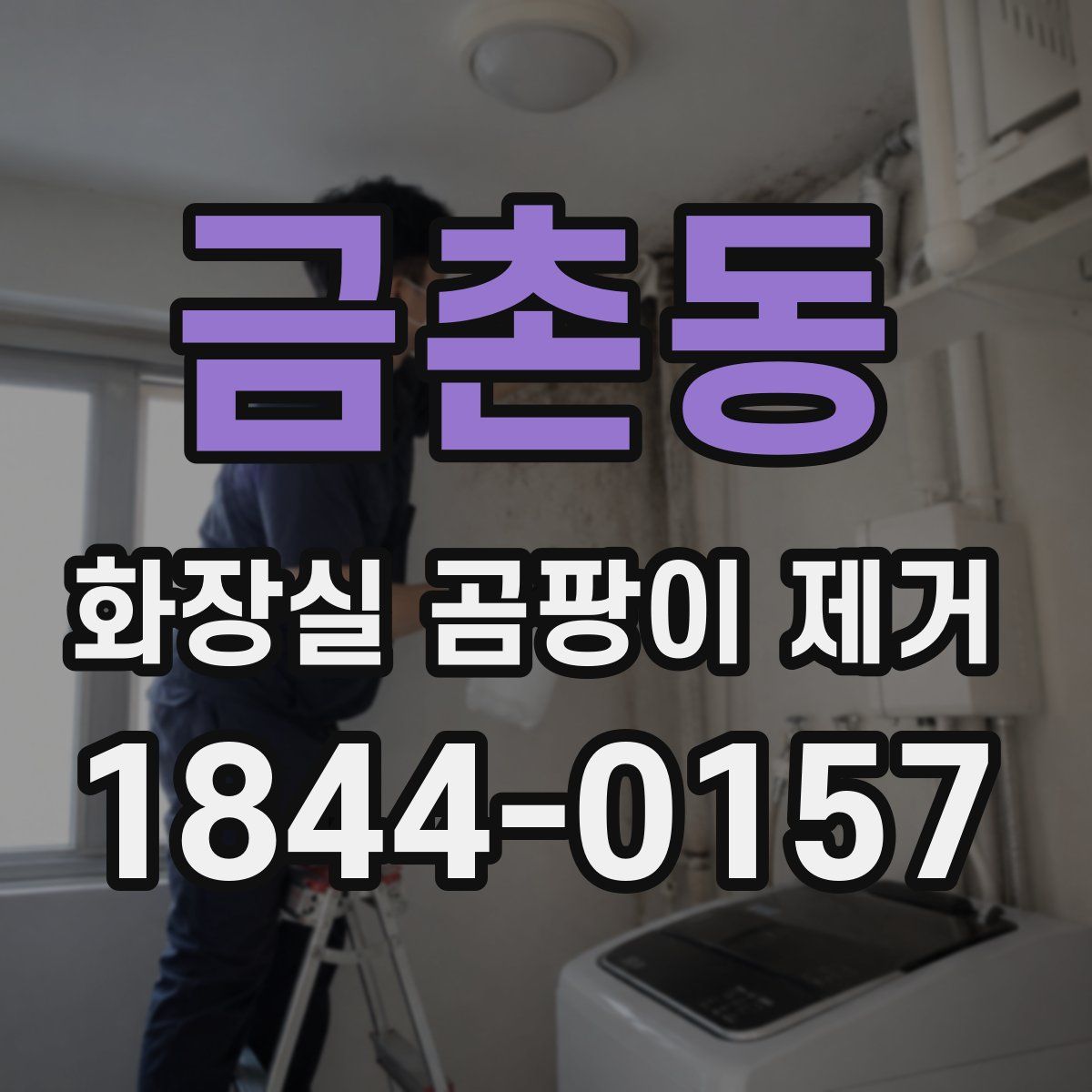금촌동 화장실 곰팡이 제거