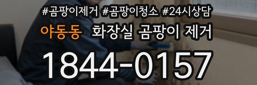 야동동 화장실 곰팡이 제거