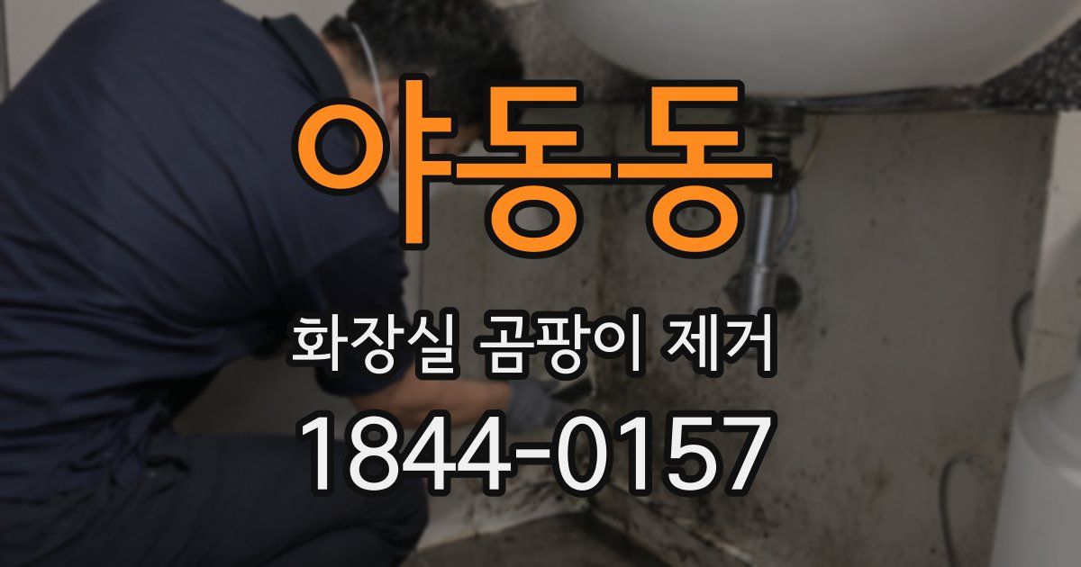 야동동 화장실 곰팡이 제거