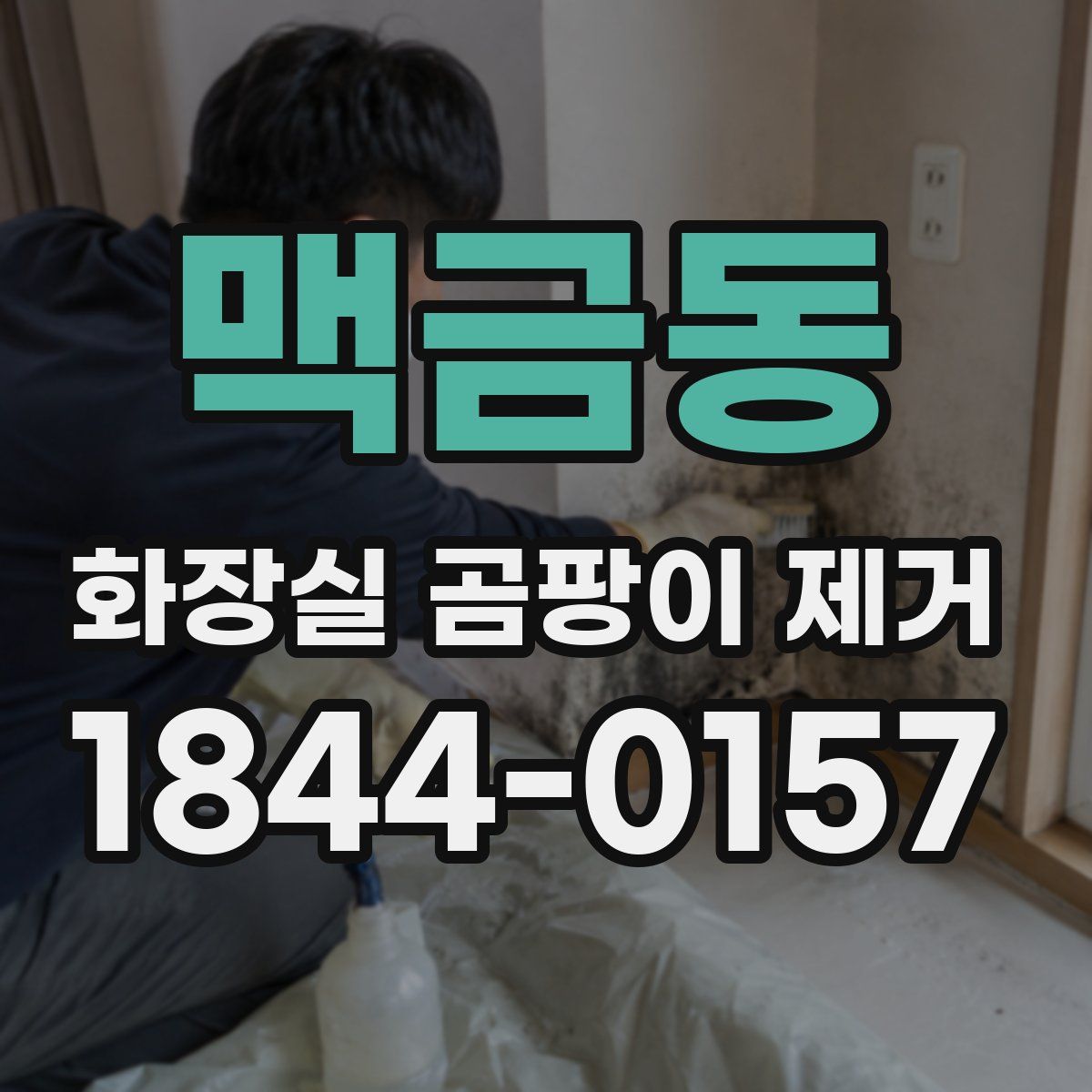 맥금동 화장실 곰팡이 제거