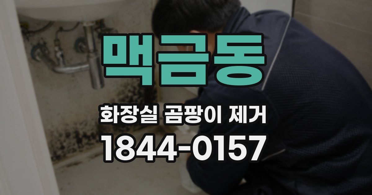 맥금동 화장실 곰팡이 제거