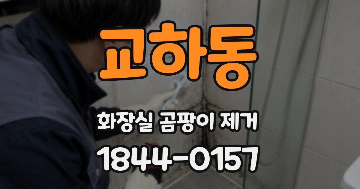 교하동 화장실 곰팡이 제거