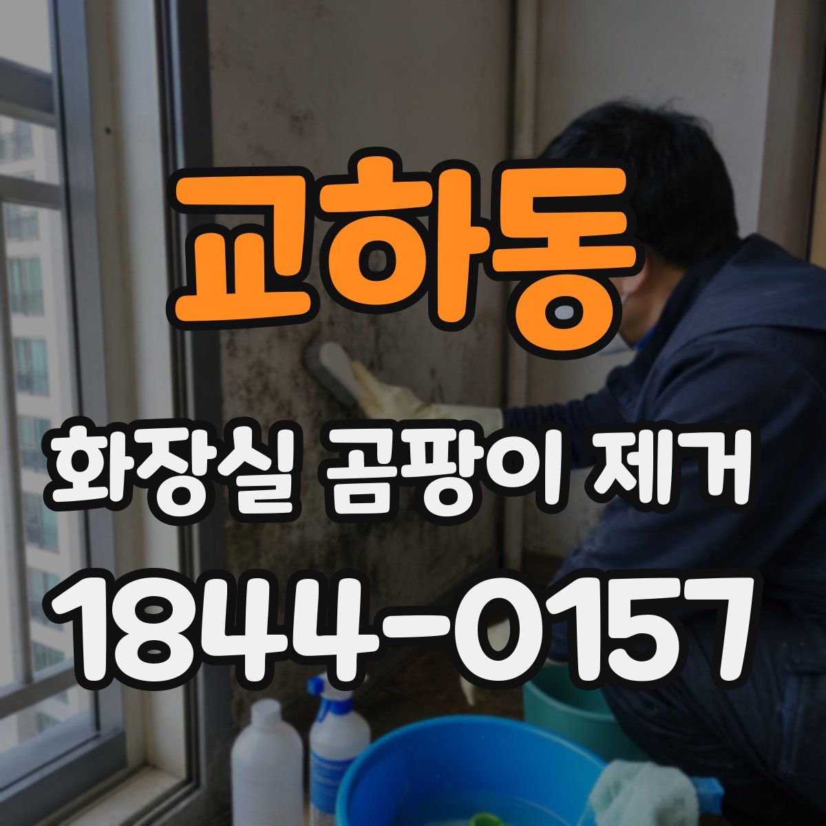 교하동 화장실 곰팡이 제거