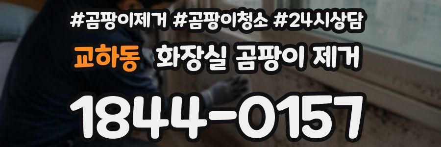 교하동 화장실 곰팡이 제거