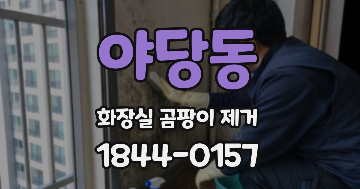 야당동 화장실 곰팡이 제거