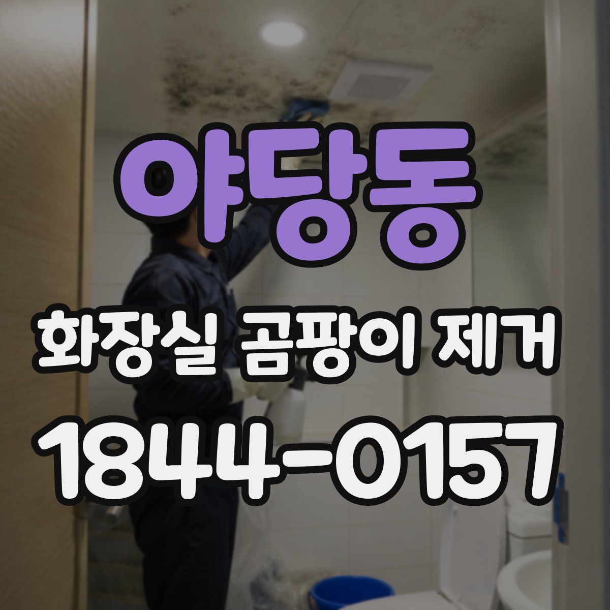야당동 화장실 곰팡이 제거