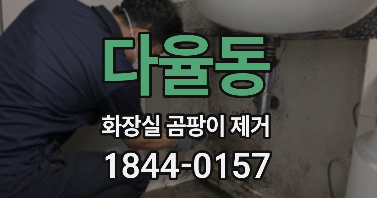 다율동 화장실 곰팡이 제거