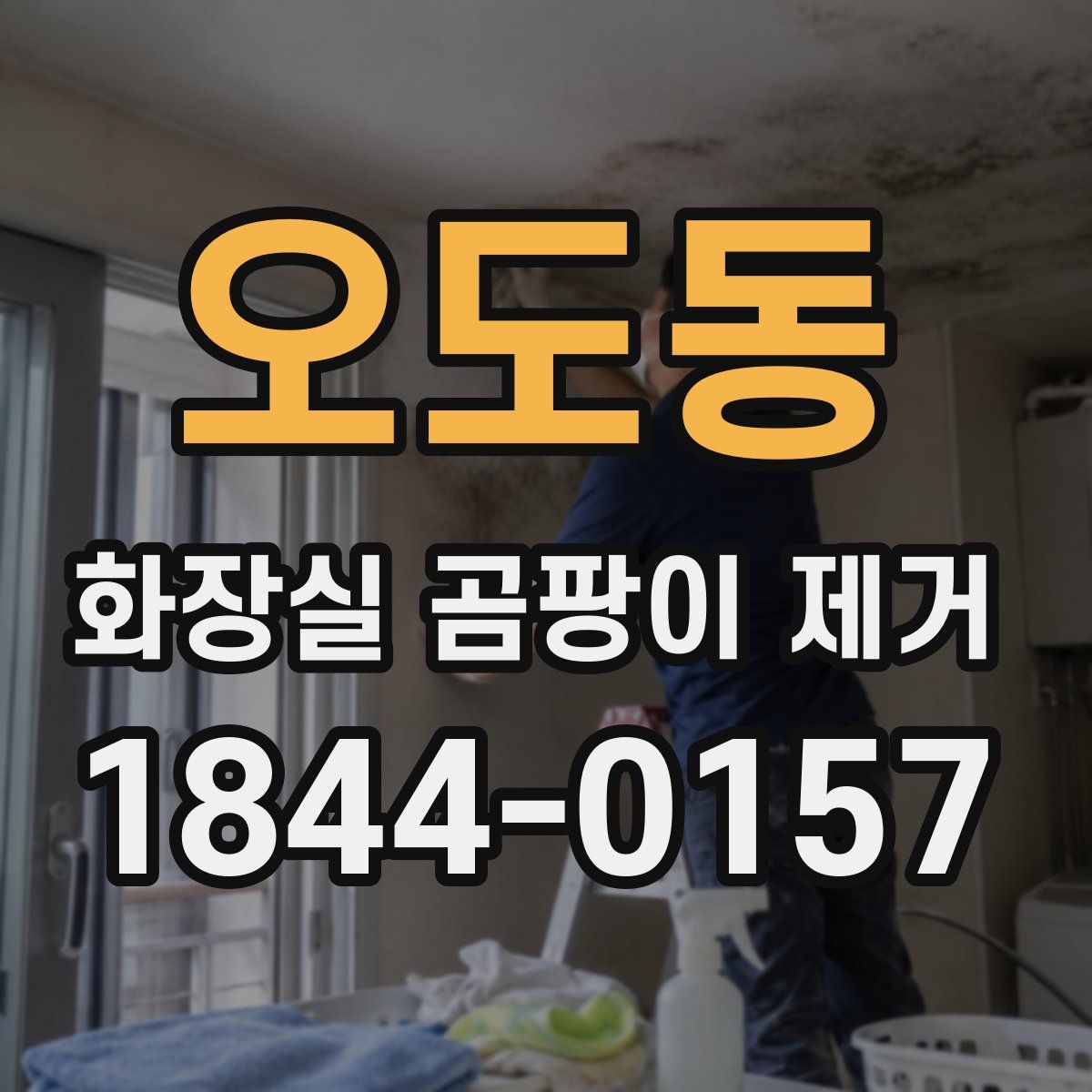 오도동 화장실 곰팡이 제거