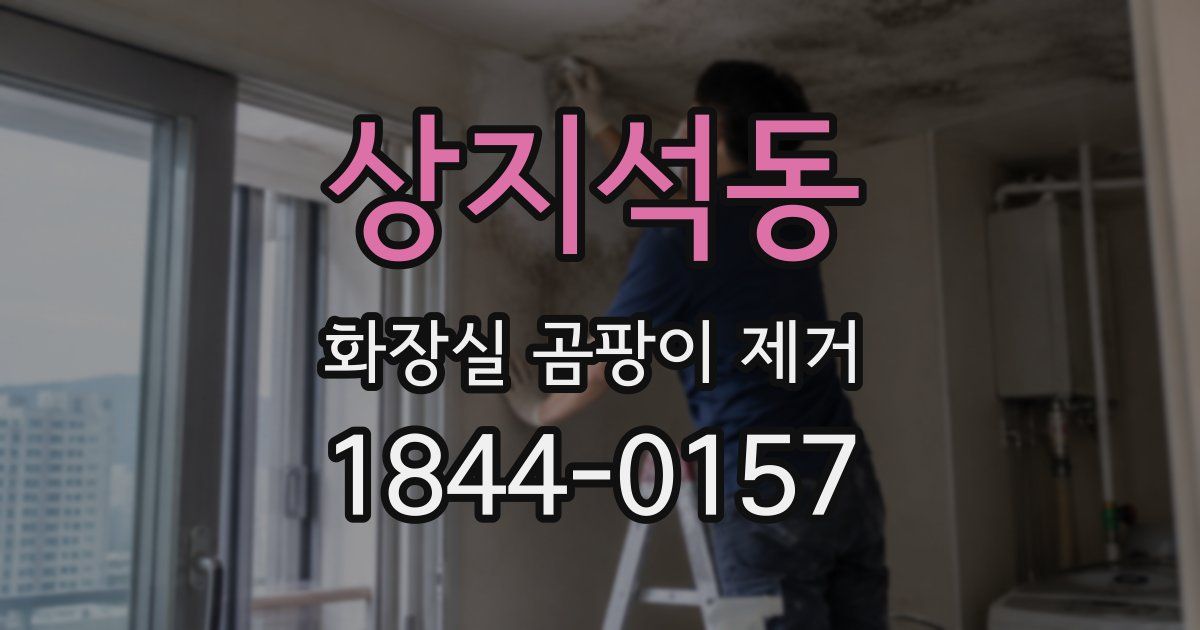 상지석동 화장실 곰팡이 제거