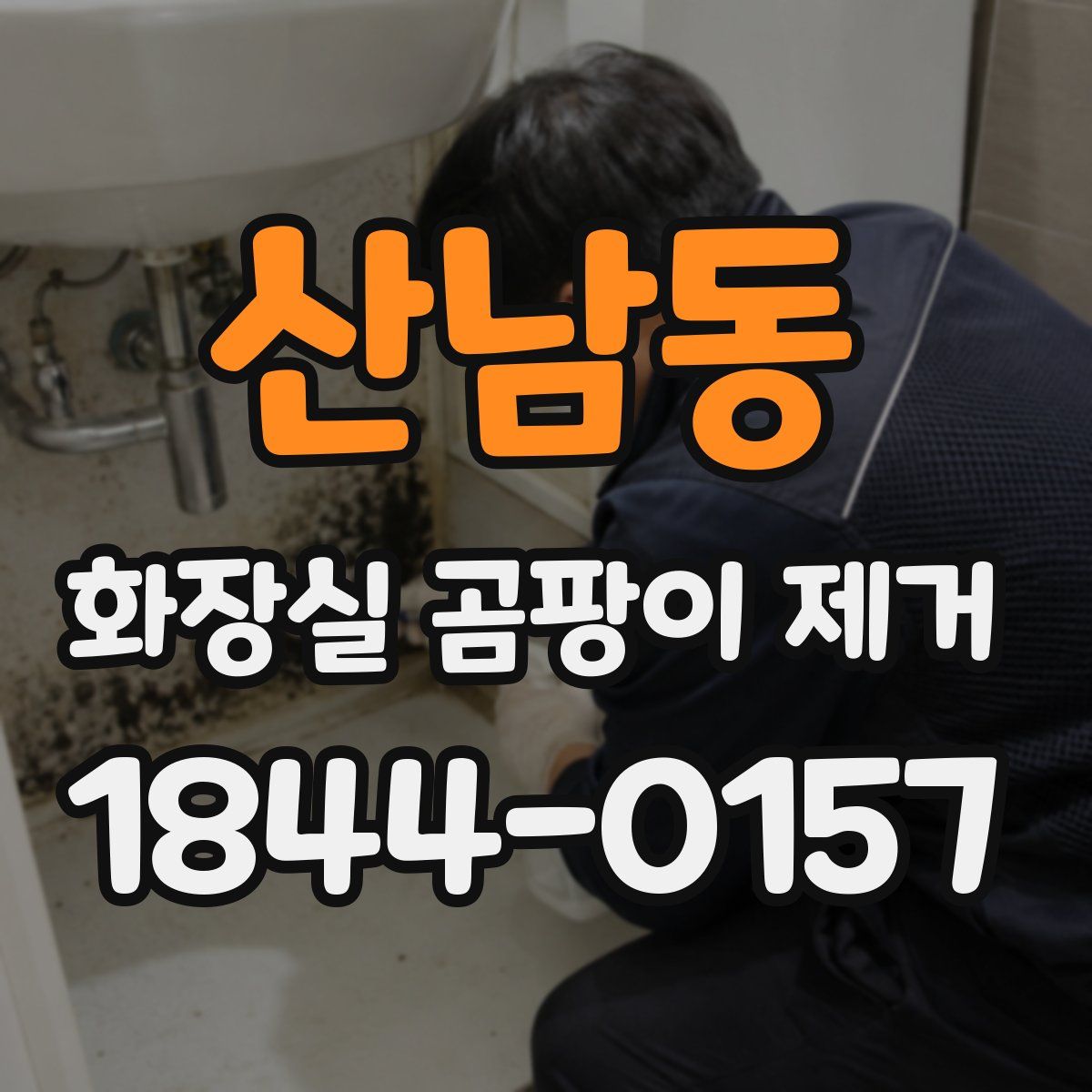 산남동 화장실 곰팡이 제거