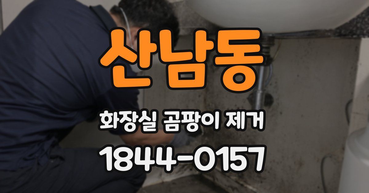 산남동 화장실 곰팡이 제거