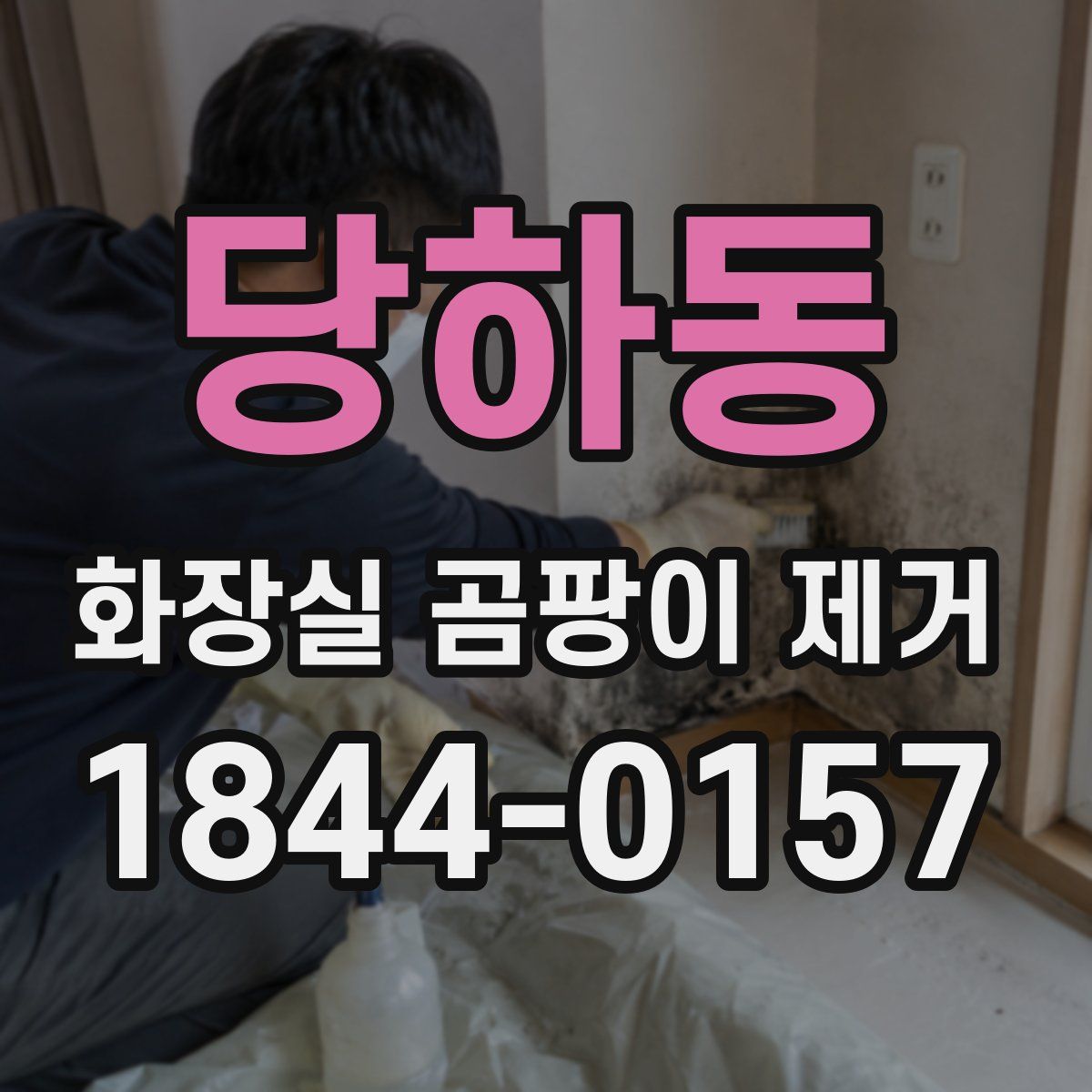 당하동 화장실 곰팡이 제거