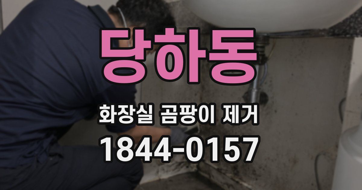 당하동 화장실 곰팡이 제거