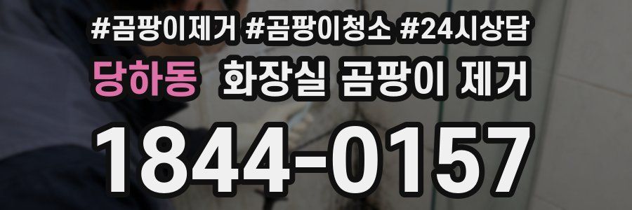 당하동 화장실 곰팡이 제거