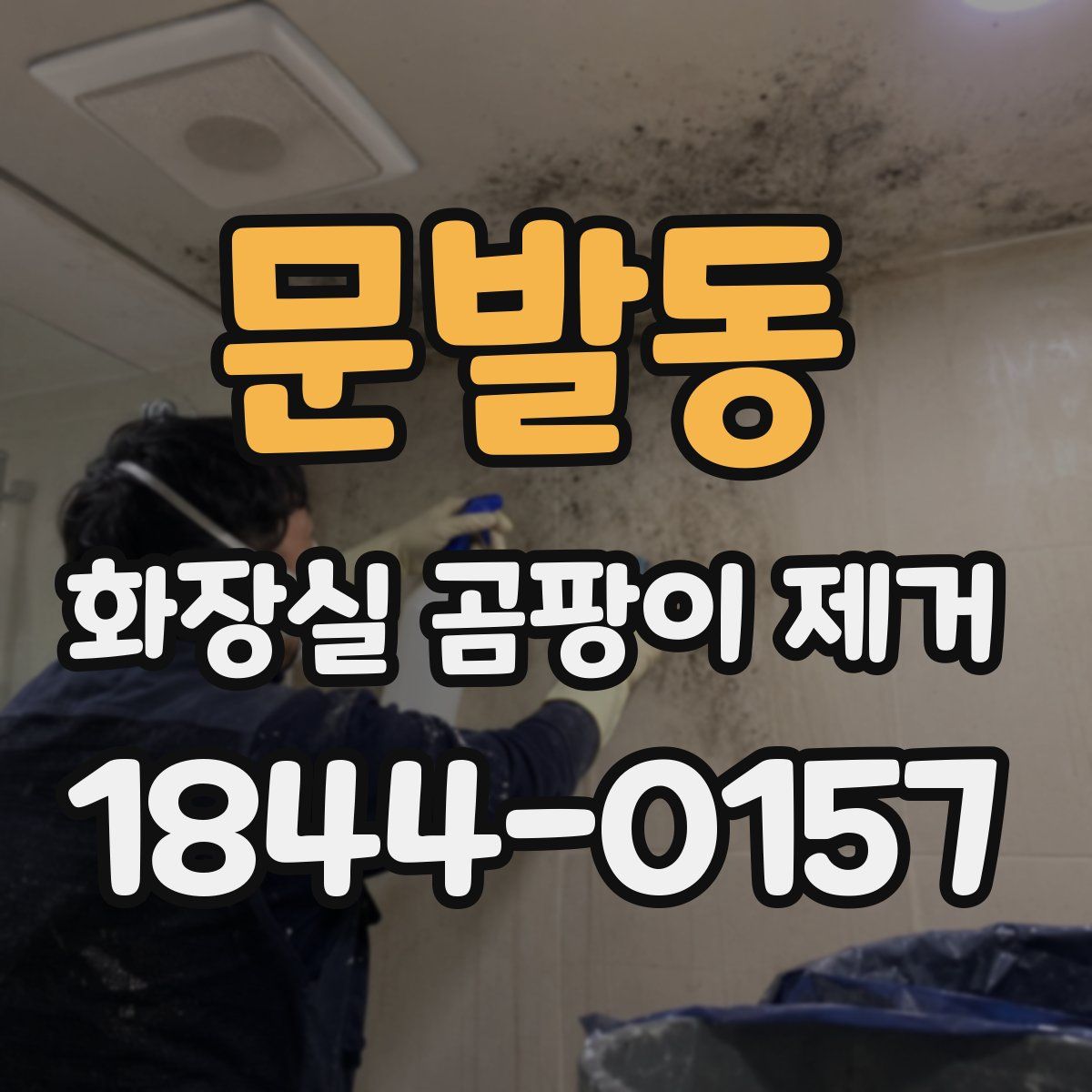 문발동 화장실 곰팡이 제거