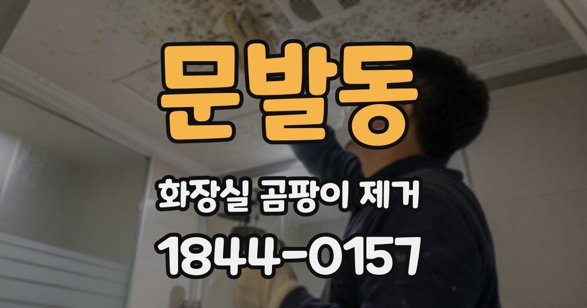 문발동 화장실 곰팡이 제거