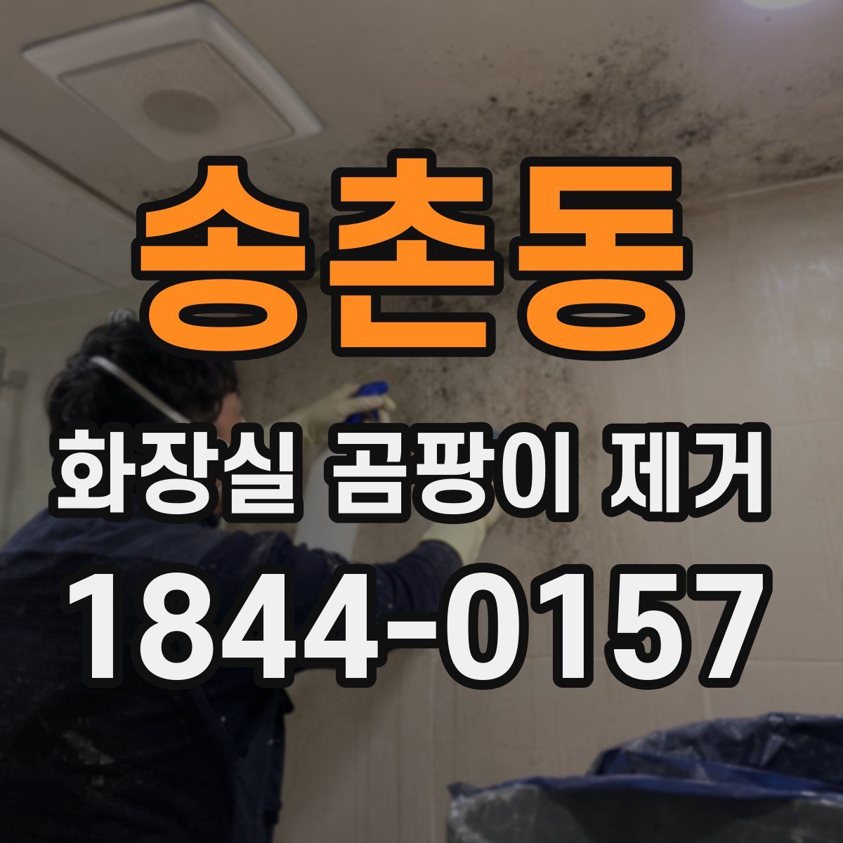 송촌동 화장실 곰팡이 제거