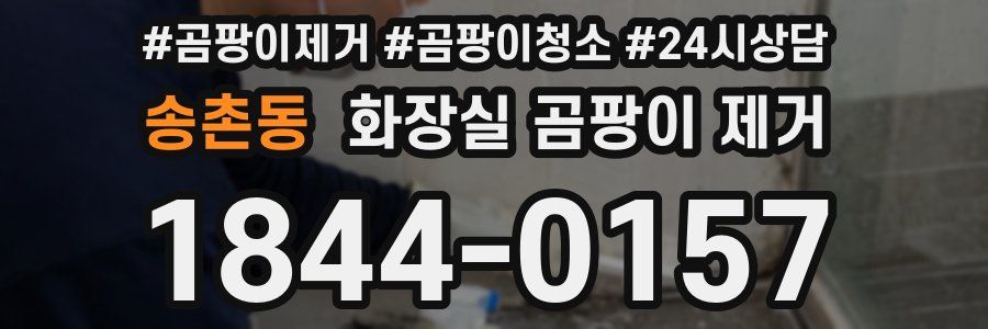 송촌동 화장실 곰팡이 제거