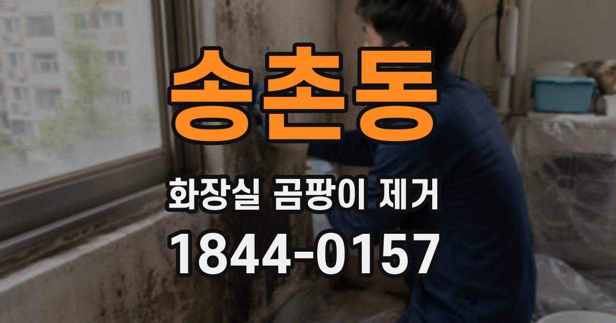 송촌동 화장실 곰팡이 제거