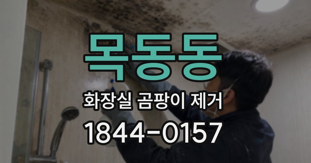 목동동 화장실 곰팡이 제거