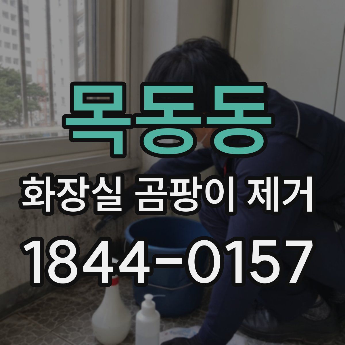 목동동 화장실 곰팡이 제거