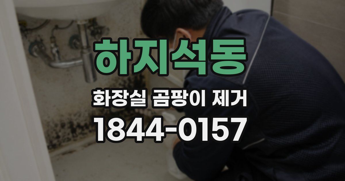 하지석동 화장실 곰팡이 제거