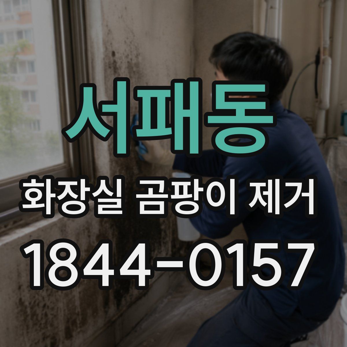 서패동 화장실 곰팡이 제거