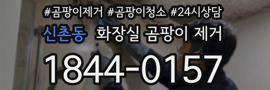신촌동 화장실 곰팡이 제거