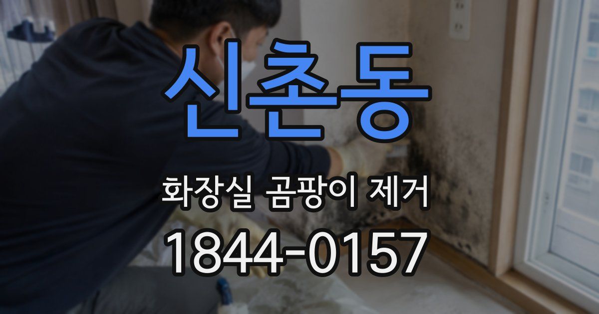 신촌동 화장실 곰팡이 제거