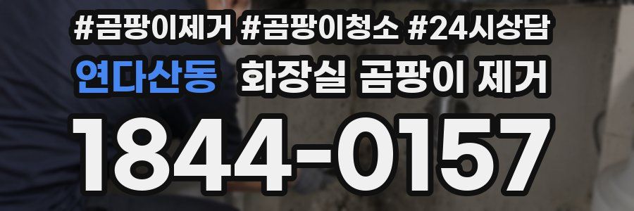 연다산동 화장실 곰팡이 제거