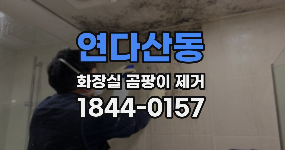 연다산동 화장실 곰팡이 제거